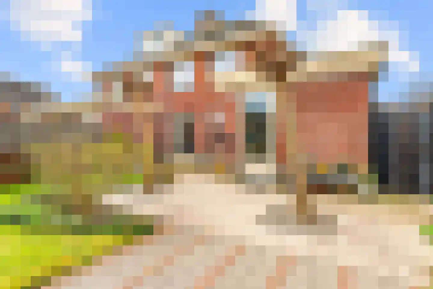 Frans Verpoortenstraat 1 Spaarndam thumbnail 41