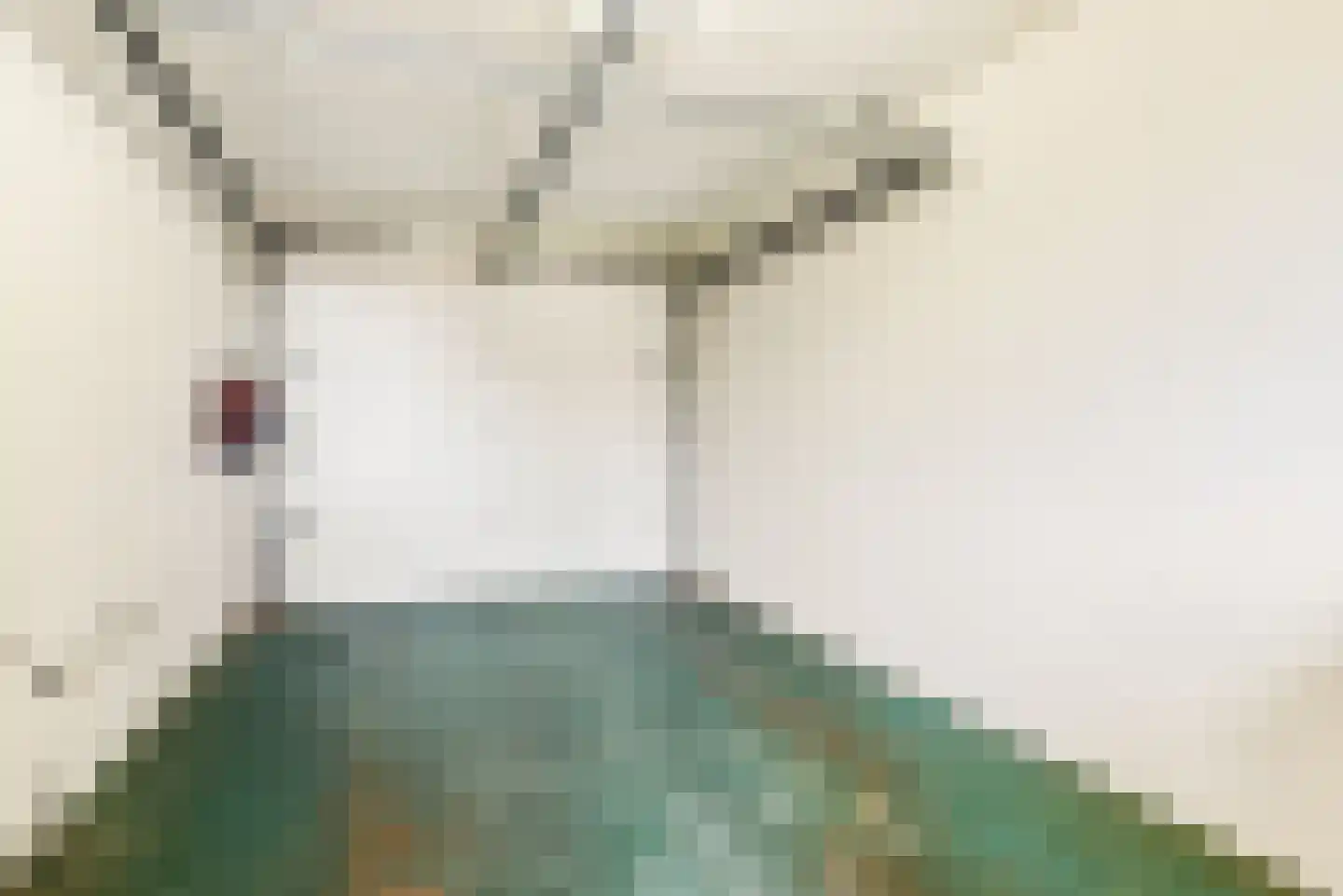Frans Verpoortenstraat 1 Spaarndam thumbnail 43