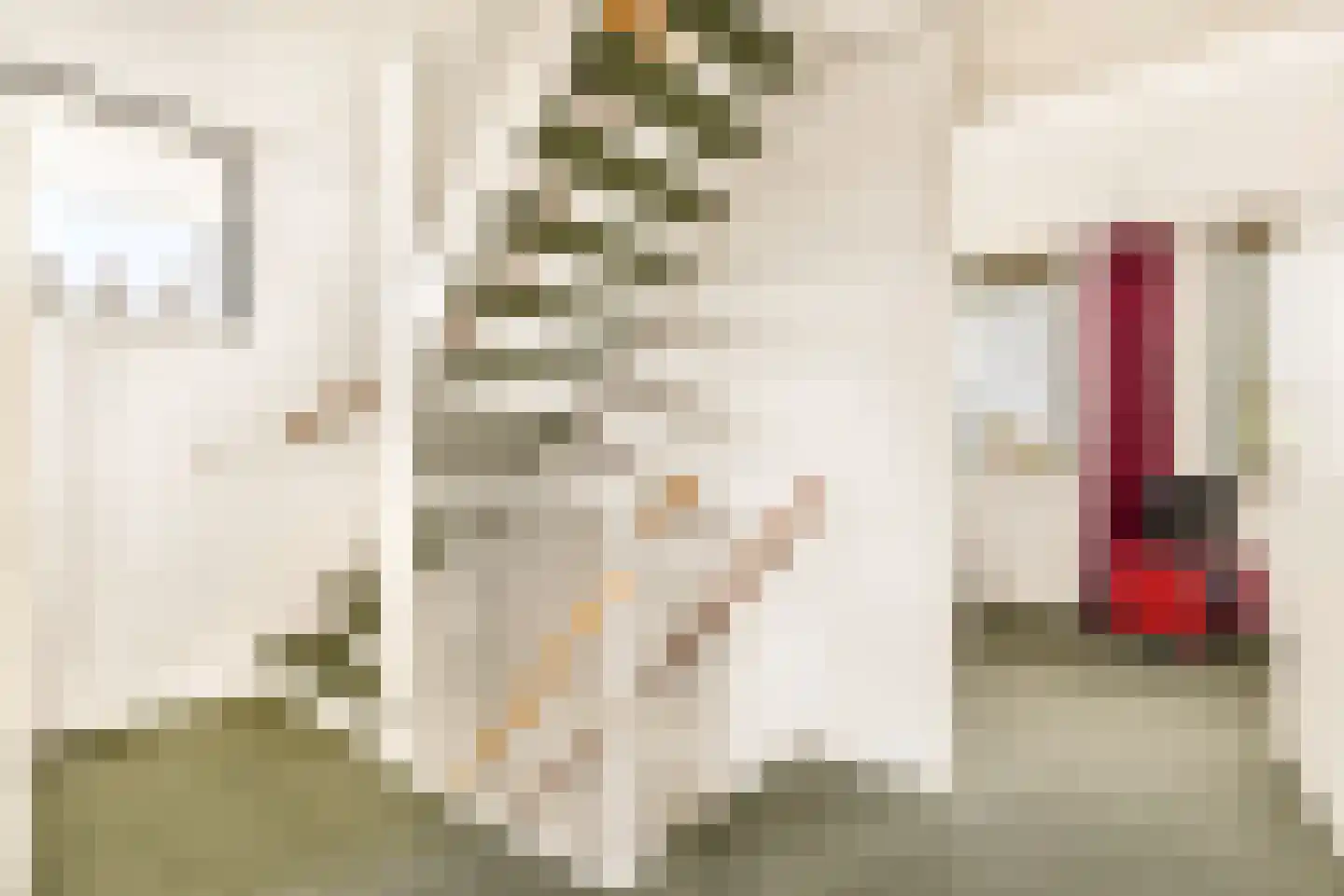 Frans Verpoortenstraat 1 Spaarndam thumbnail 44