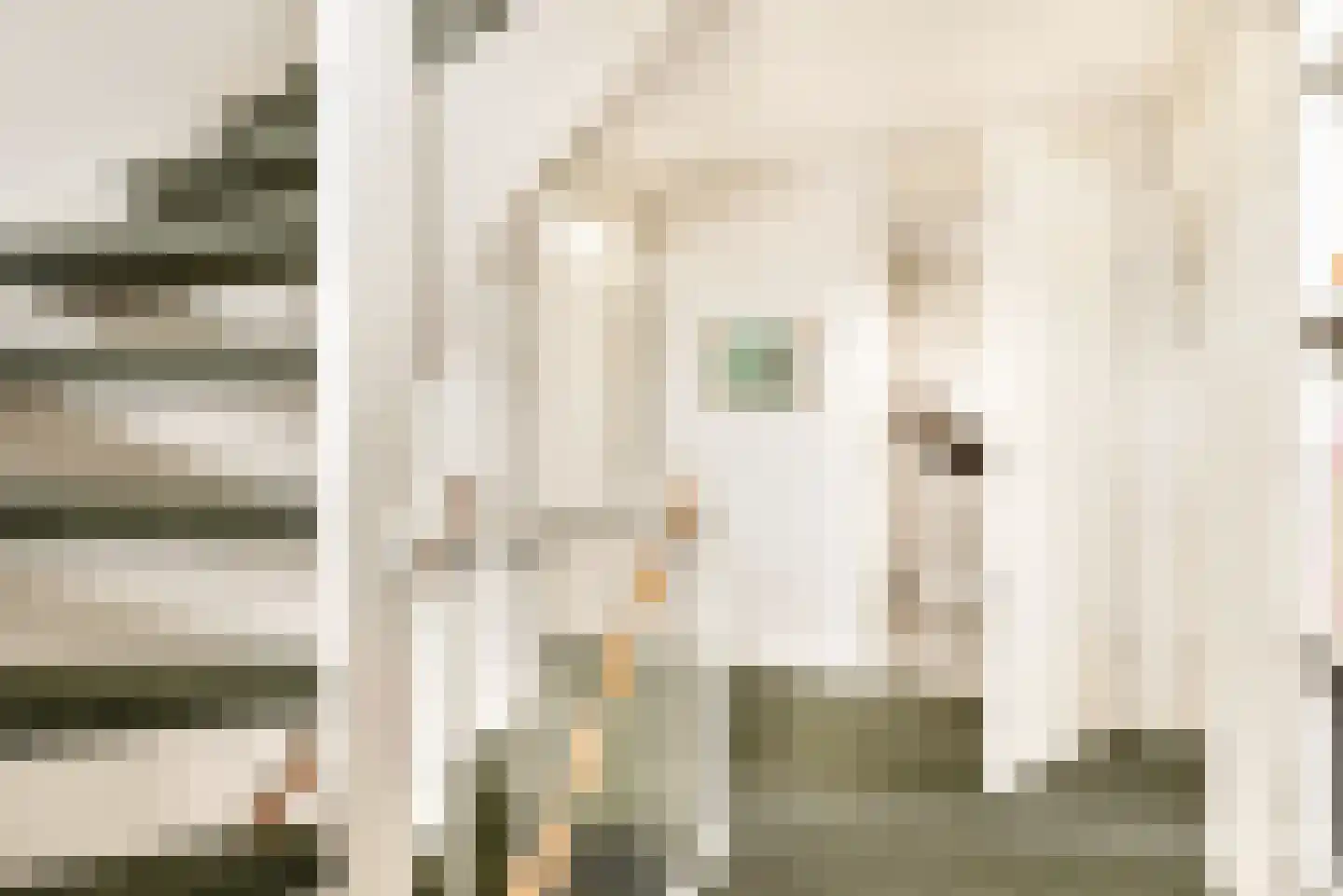 Frans Verpoortenstraat 1 Spaarndam thumbnail 49