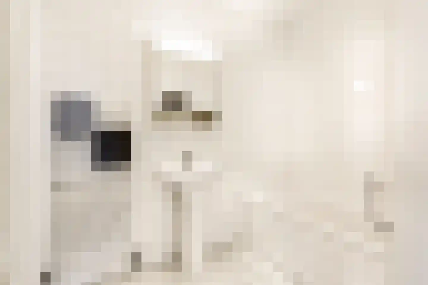 Frans Verpoortenstraat 1 Spaarndam thumbnail 50