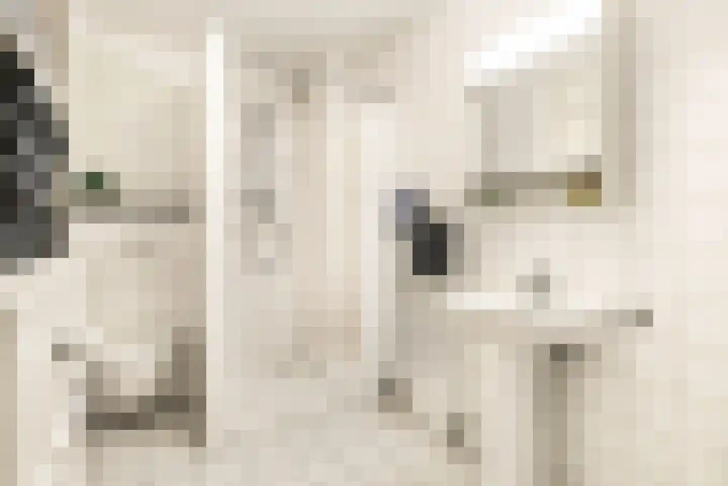 Frans Verpoortenstraat 1 Spaarndam thumbnail 51