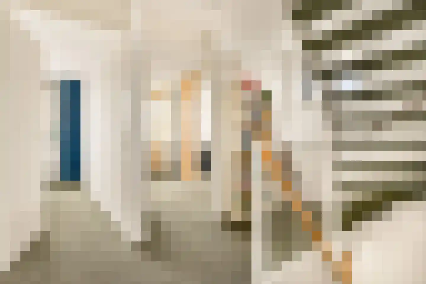 Frans Verpoortenstraat 1 Spaarndam thumbnail 53