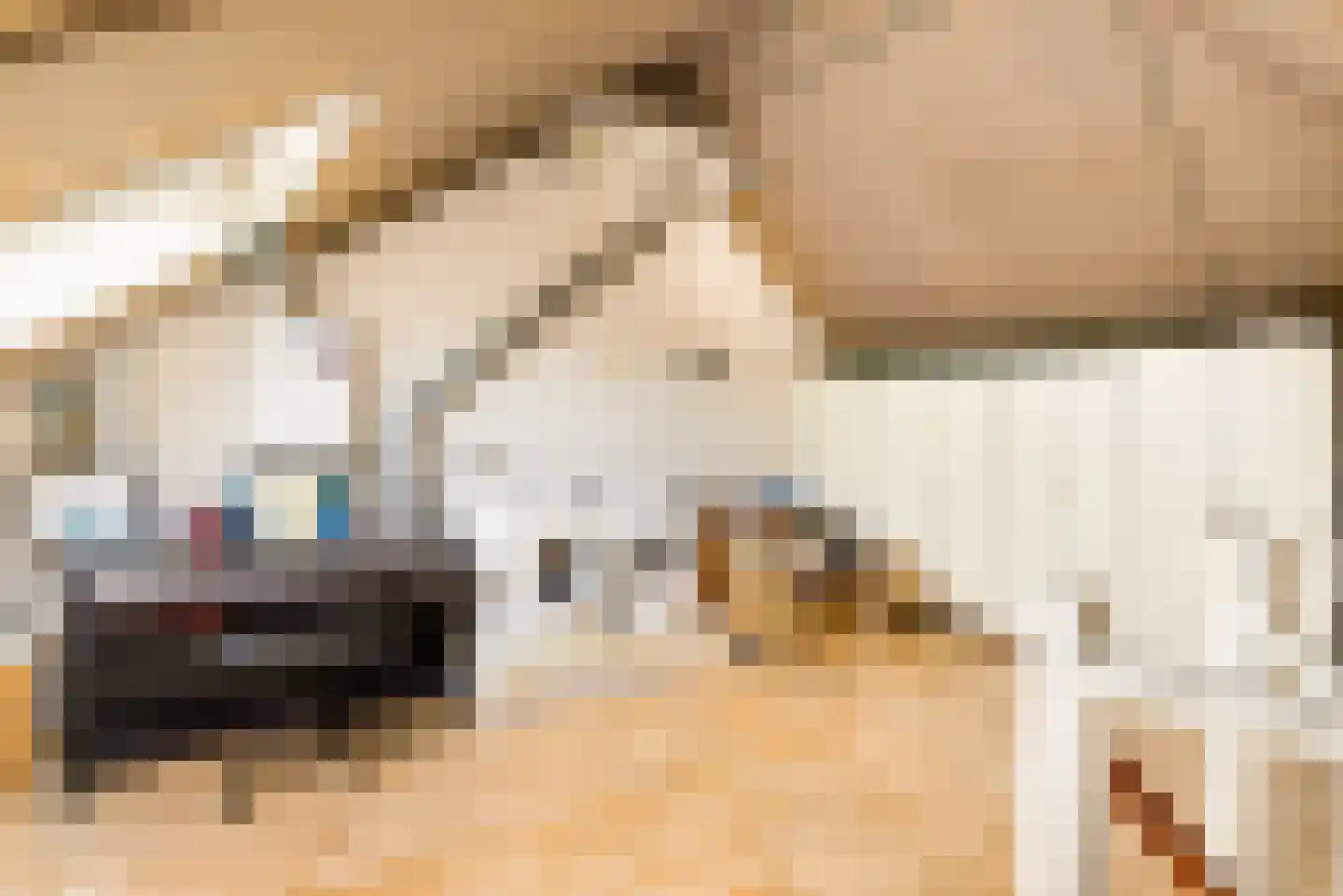 Frans Verpoortenstraat 1 Spaarndam thumbnail 63