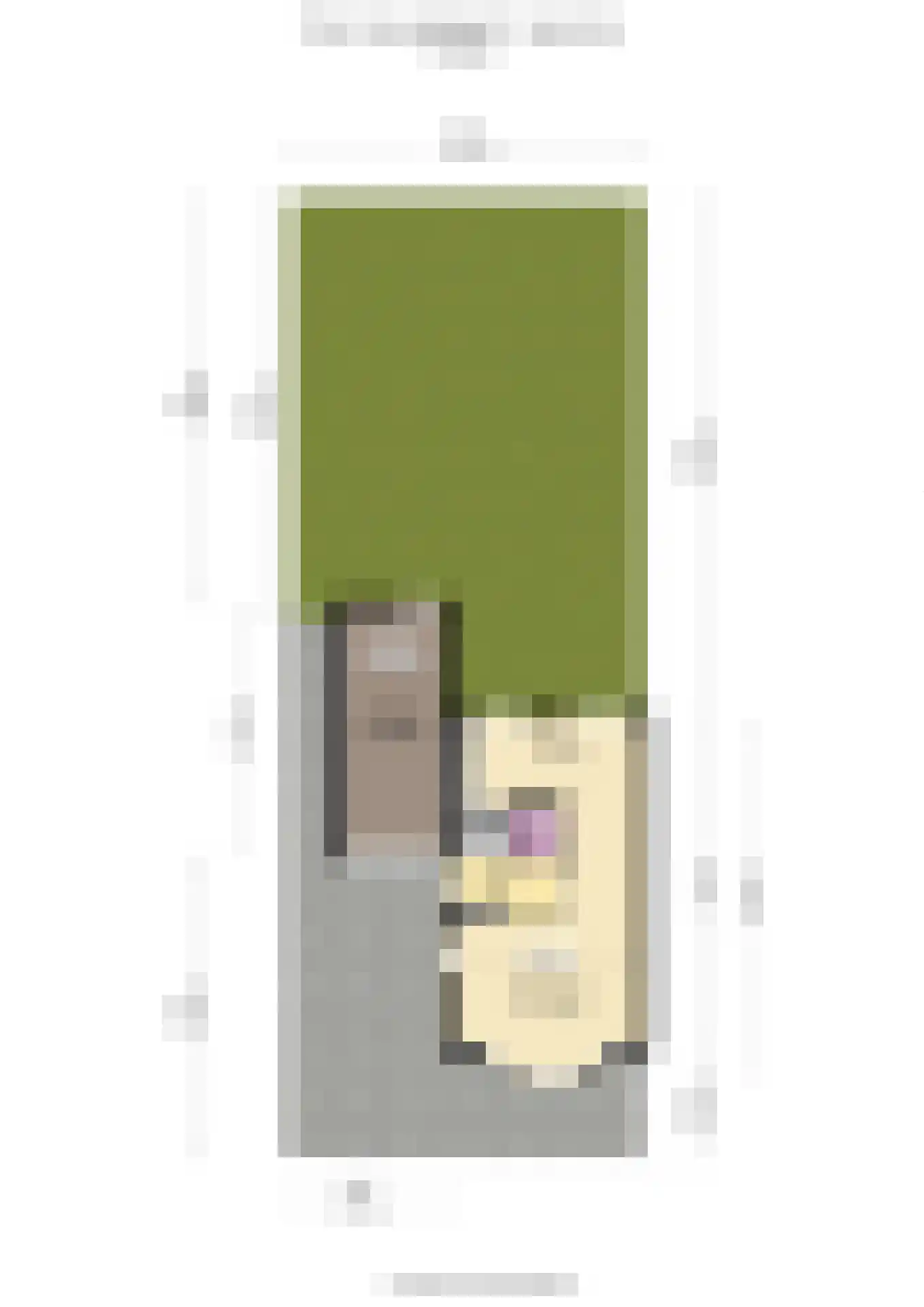 Frans Verpoortenstraat 1 Spaarndam thumbnail 66