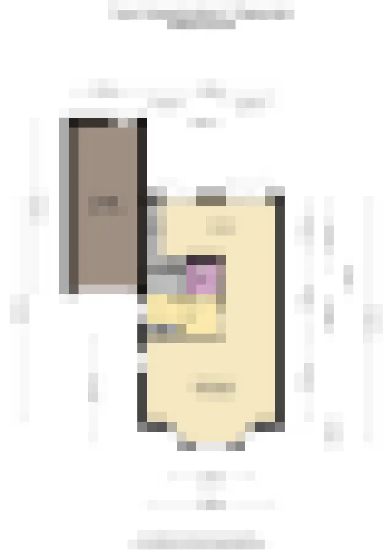 Frans Verpoortenstraat 1 Spaarndam thumbnail 67