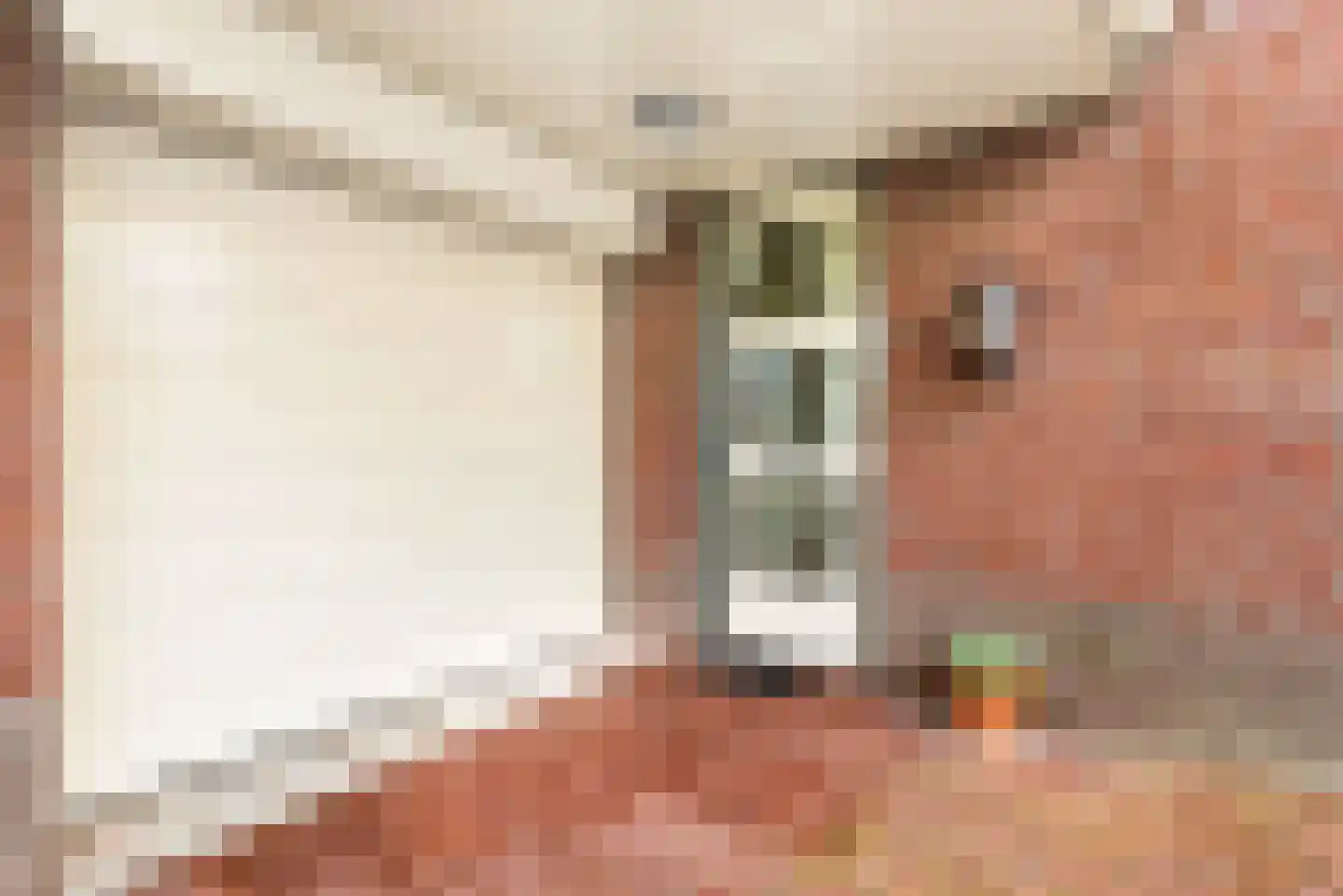 Frans Verpoortenstraat 1 Spaarndam thumbnail 7