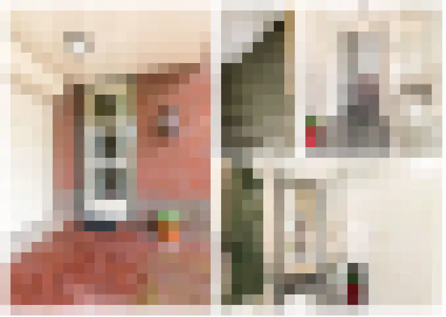 Frans Verpoortenstraat 1 Spaarndam thumbnail 9