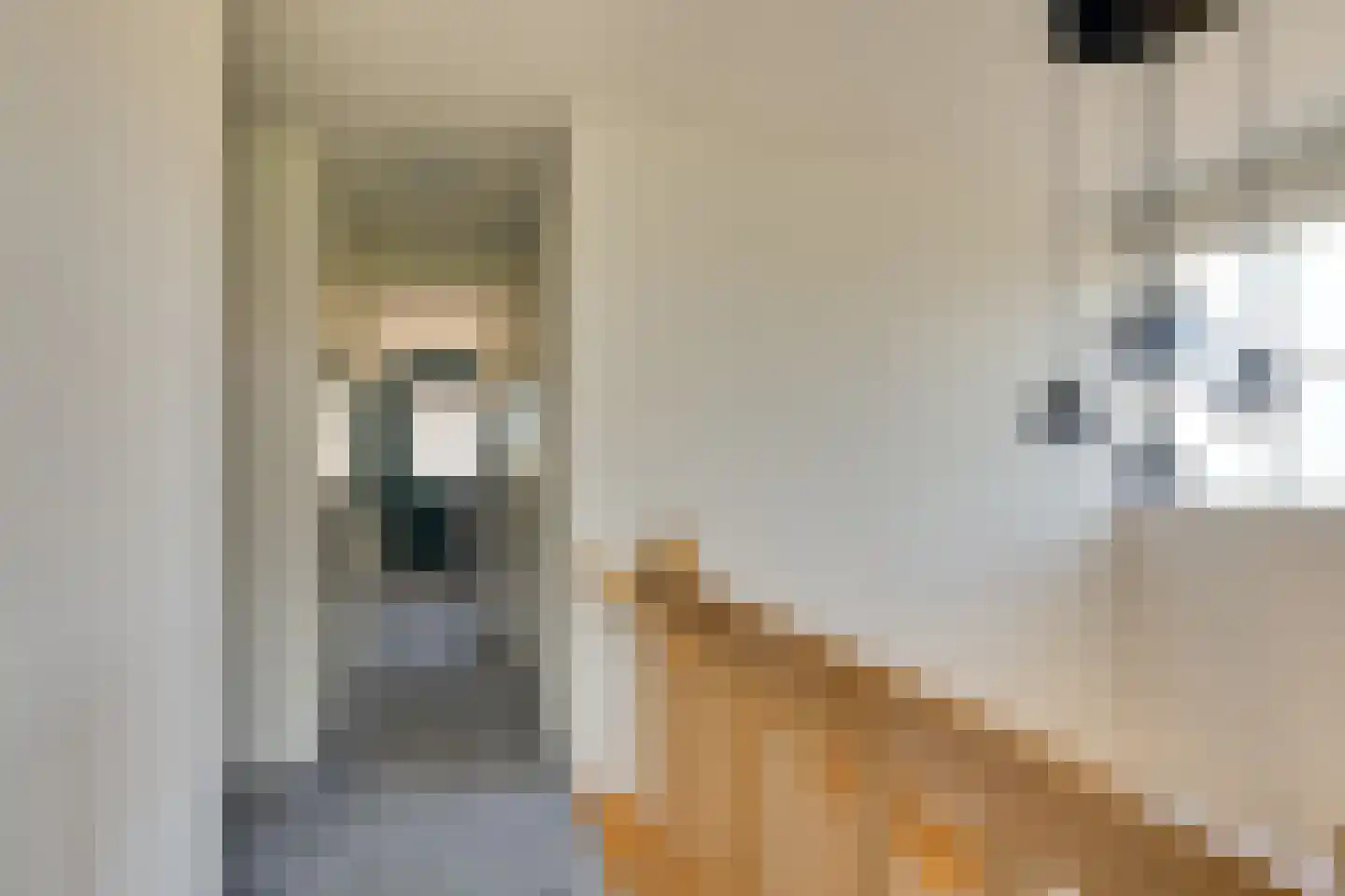 Frans Visscherstraat 23 Lutjegast thumbnail 34