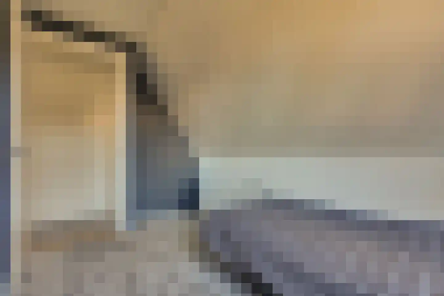 Frans Visscherstraat 23 Lutjegast thumbnail 39