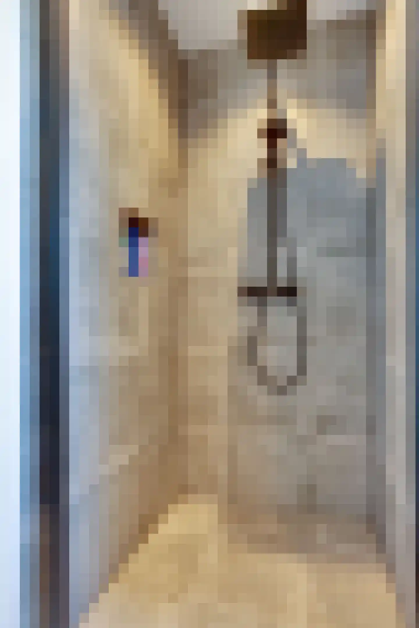 Frans Visscherstraat 23 Lutjegast thumbnail 43
