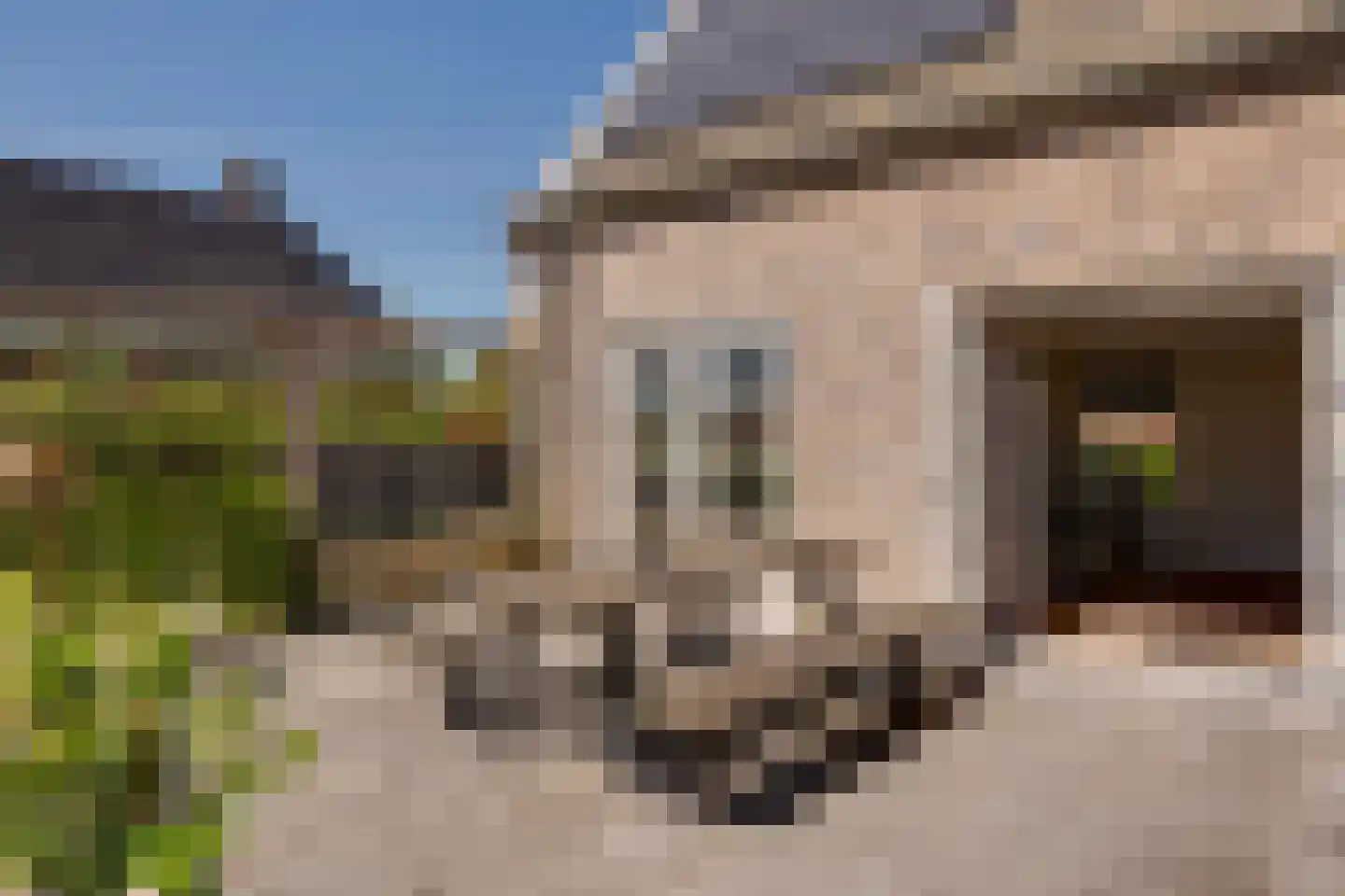 Frans Visscherstraat 23 Lutjegast thumbnail 45