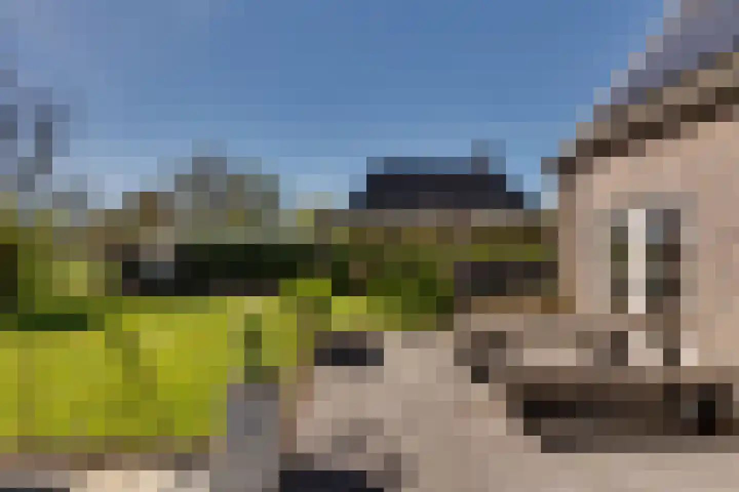 Frans Visscherstraat 23 Lutjegast thumbnail 46