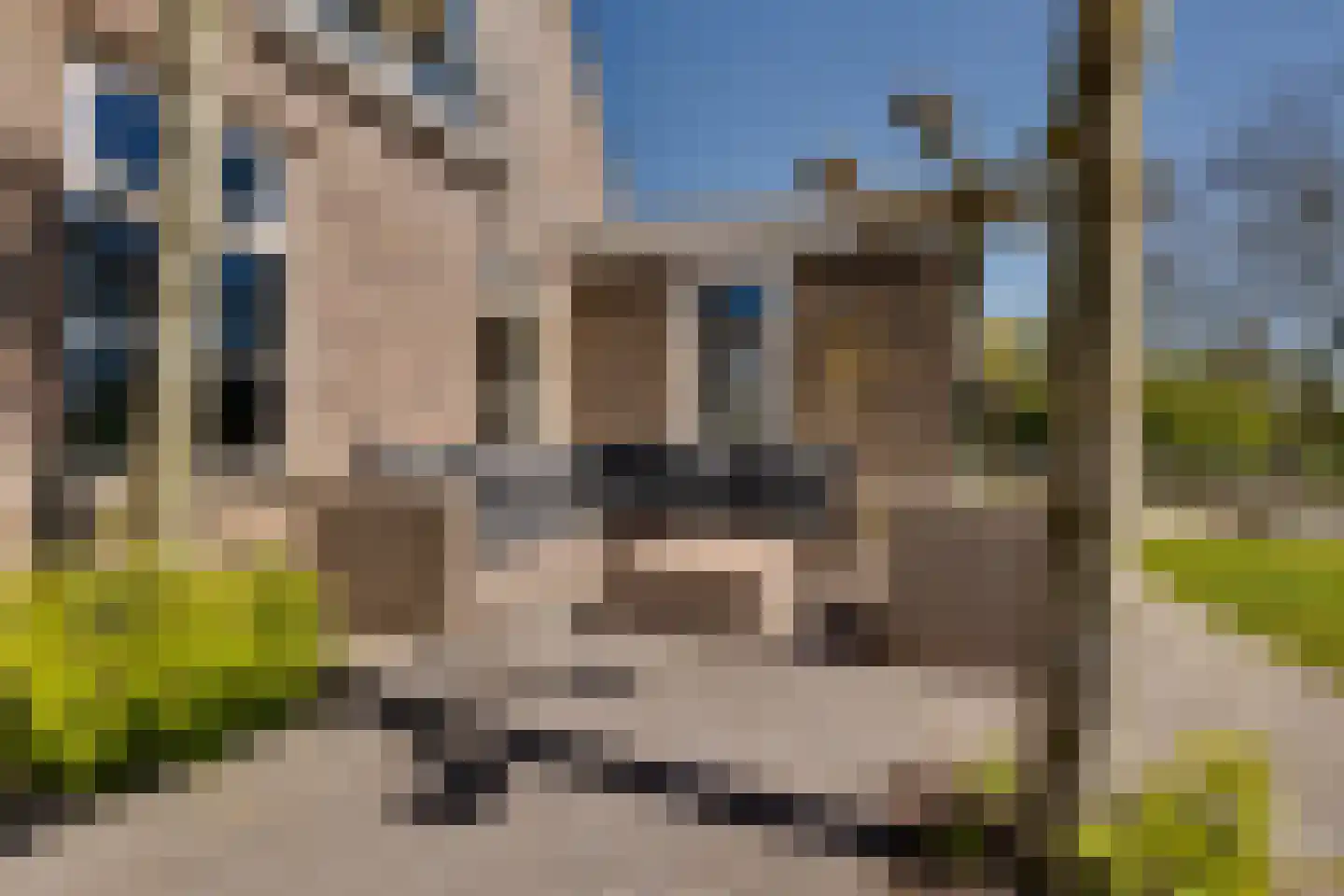 Frans Visscherstraat 23 Lutjegast thumbnail 48