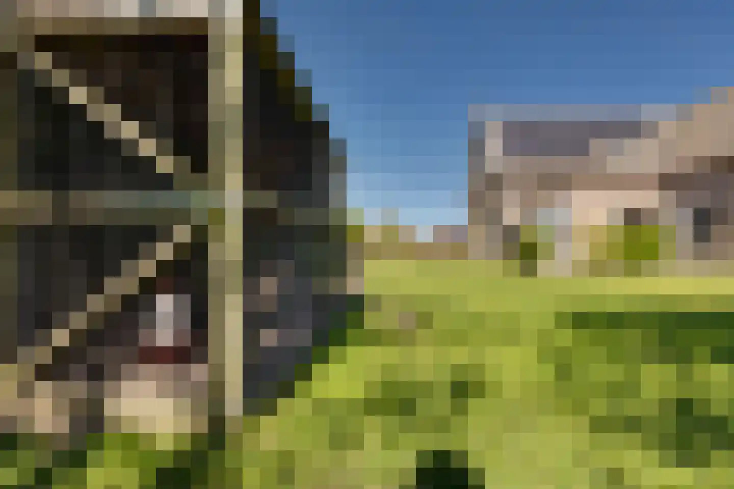 Frans Visscherstraat 23 Lutjegast thumbnail 52