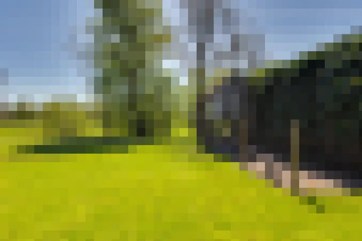 Frans Visscherstraat 23 Lutjegast thumbnail 53
