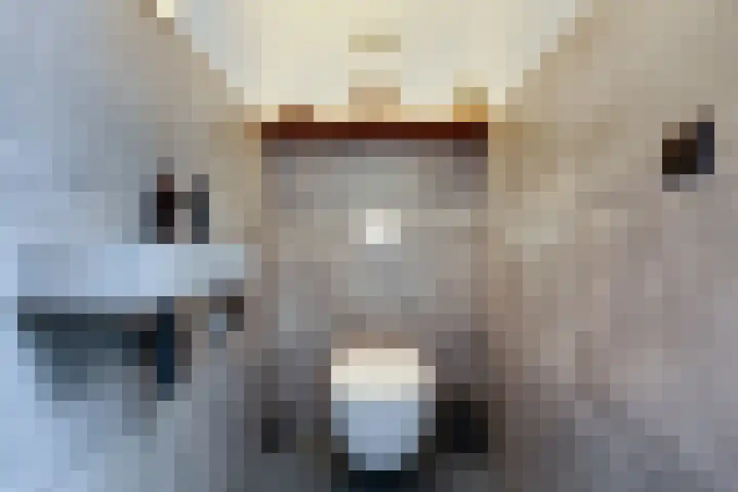 Frans Visscherstraat 23 Lutjegast thumbnail 8