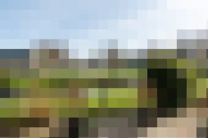Frans Walkatehof 20 Kampen thumbnail 28