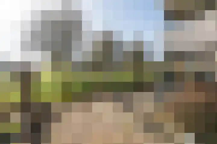 Frans Walkatehof 20 Kampen thumbnail 30