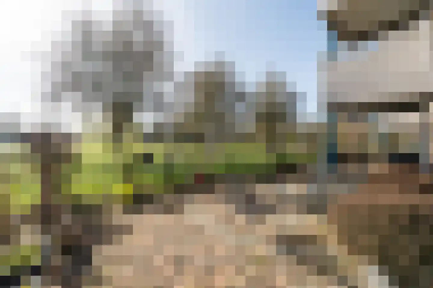 Frans Walkatehof 20 Kampen thumbnail 30