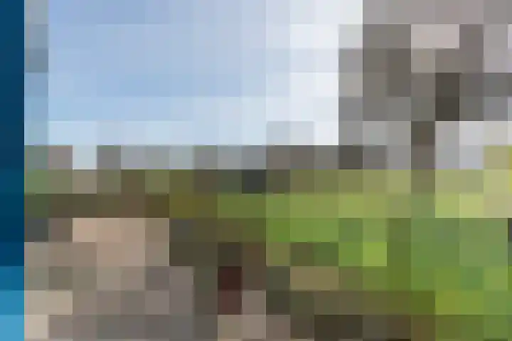Frans Walkatehof 20 Kampen thumbnail 32