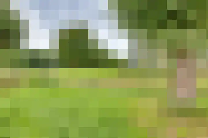 Frans Walkatehof 30 Kampen thumbnail 10