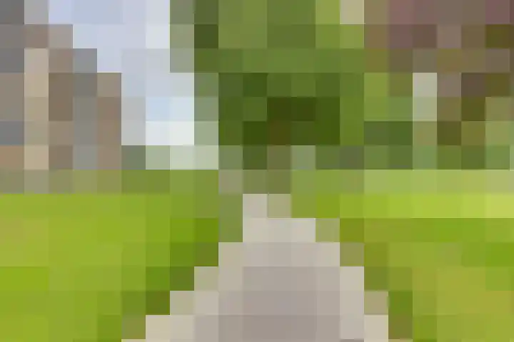 Frans Walkatehof 30 Kampen thumbnail 12