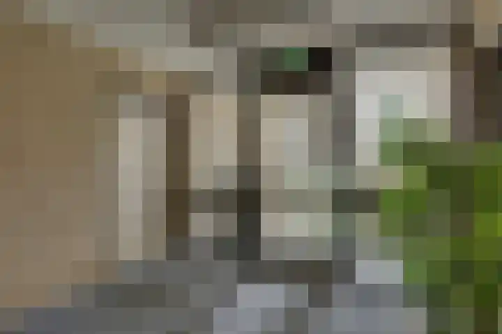 Frans Walkatehof 30 Kampen thumbnail 16