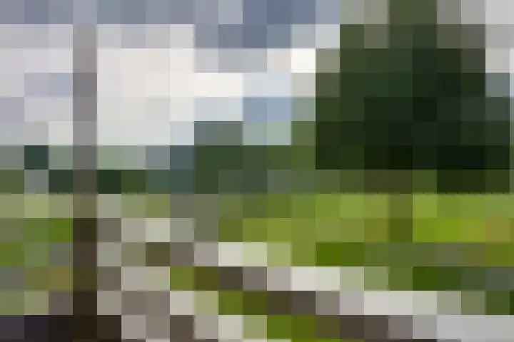 Frans Walkatehof 30 Kampen thumbnail 4