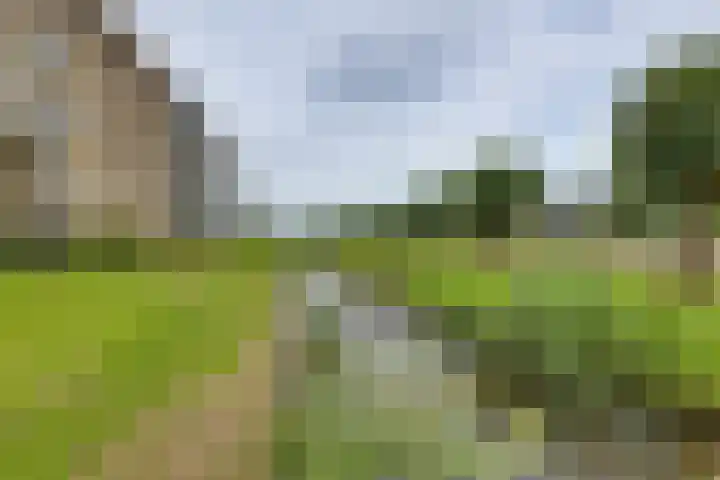 Frans Walkatehof 30 Kampen thumbnail 6