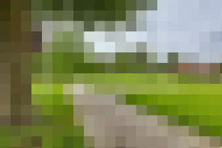 Frans Walkatehof 30 Kampen thumbnail 8