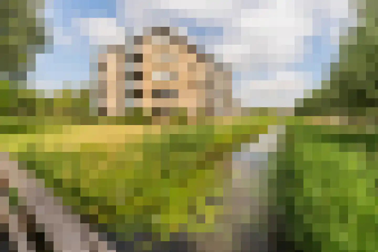 Frans Walkatehof 46 Kampen thumbnail 13