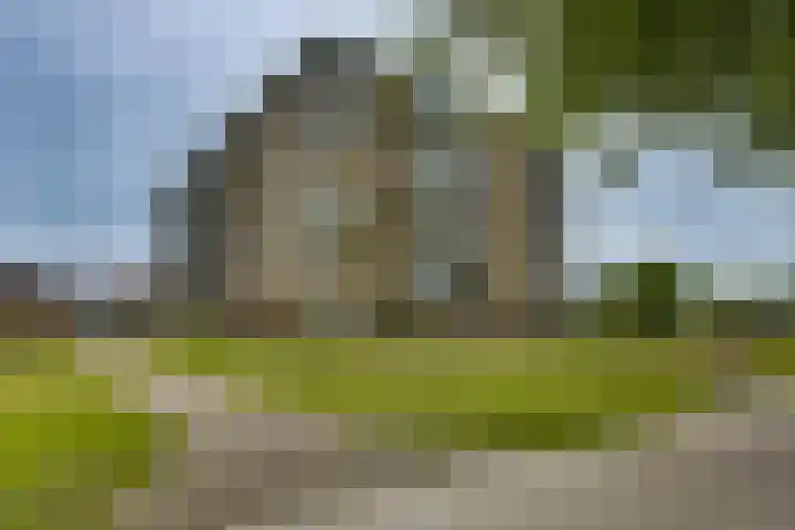 Frans Walkatehof 60 Kampen thumbnail 10