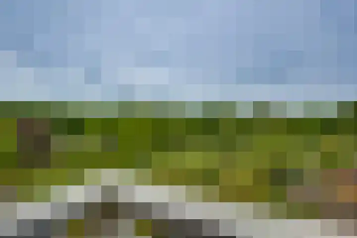 Frans Walkatehof 60 Kampen thumbnail 4
