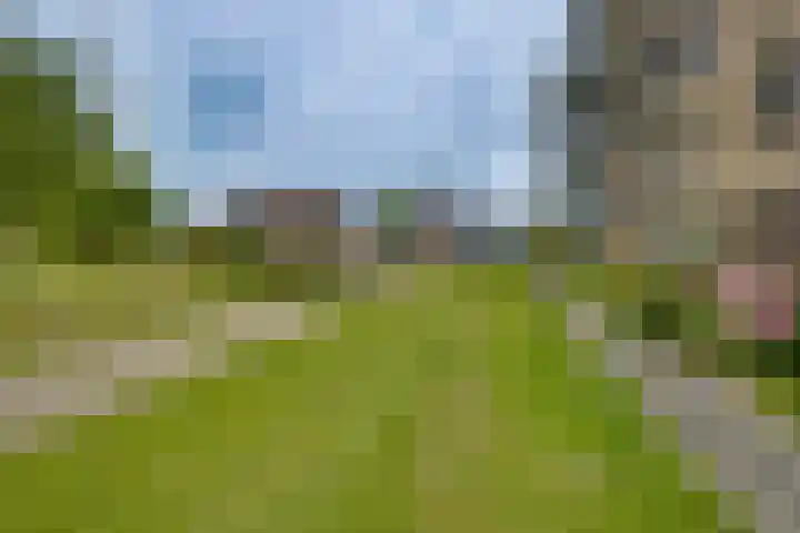 Frans Walkatehof 60 Kampen thumbnail 8