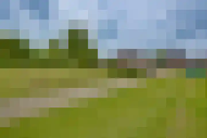 Frans Walkatehof 70 Kampen thumbnail 6