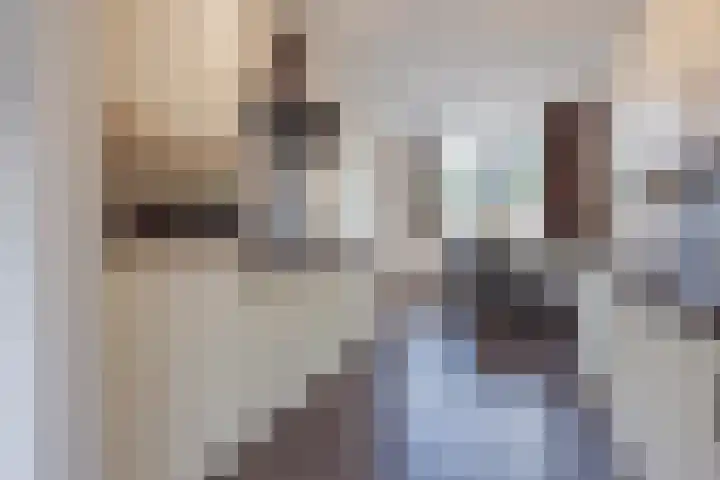 Frans Woltersstraat 19 Horst thumbnail 14