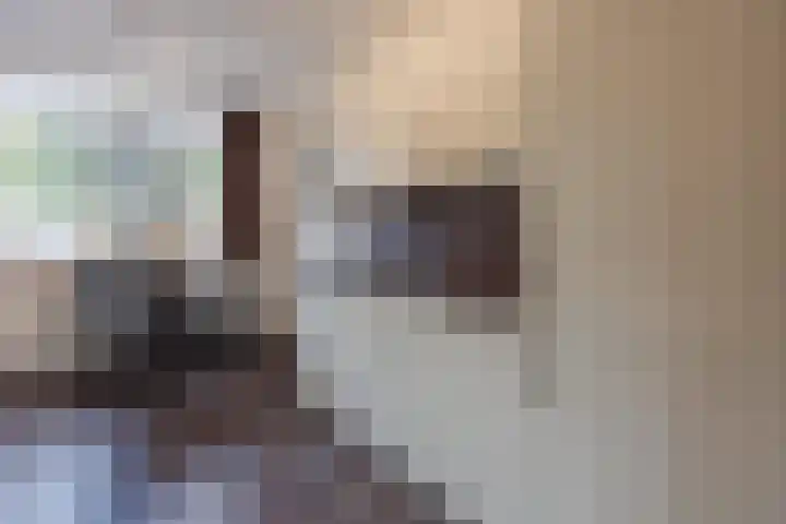 Frans Woltersstraat 19 Horst thumbnail 15
