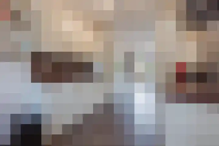 Frans Woltersstraat 19 Horst thumbnail 17
