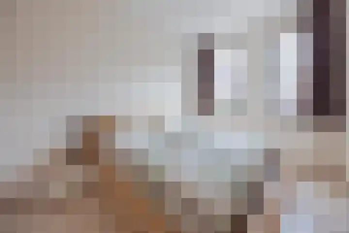 Frans Woltersstraat 19 Horst thumbnail 19