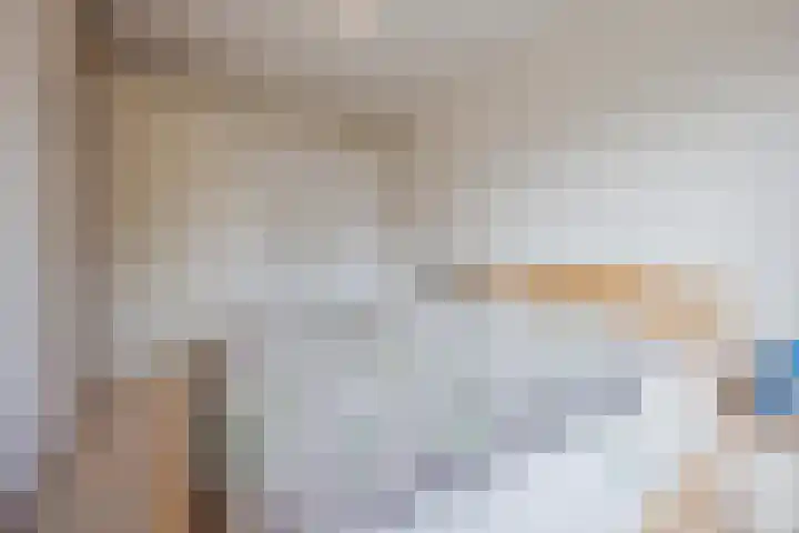 Frans Woltersstraat 19 Horst thumbnail 20
