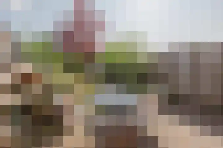 Frans Woltersstraat 19 Horst thumbnail 31