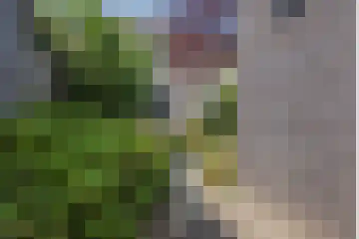 Frans Woltersstraat 19 Horst thumbnail 32
