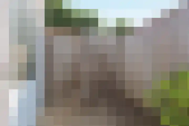 Frans Woltersstraat 19 Horst thumbnail 33