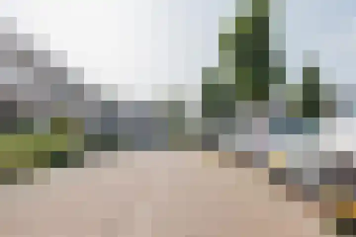 Frans Woltersstraat 19 Horst thumbnail 36