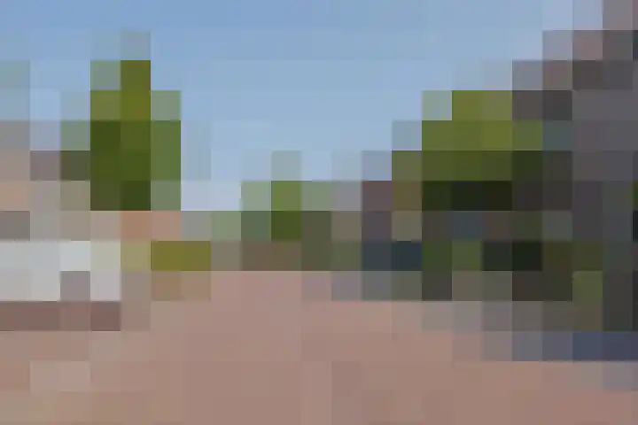 Frans Woltersstraat 19 Horst thumbnail 37