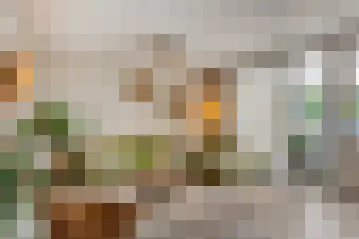 Frans Woltersstraat 31 Horst thumbnail 10