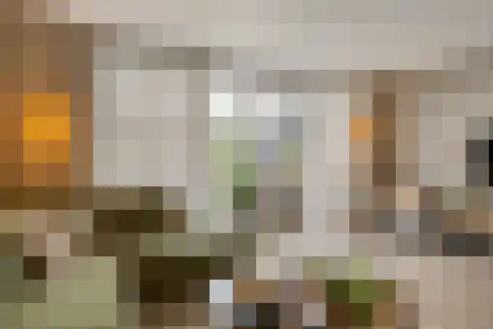 Frans Woltersstraat 31 Horst thumbnail 12