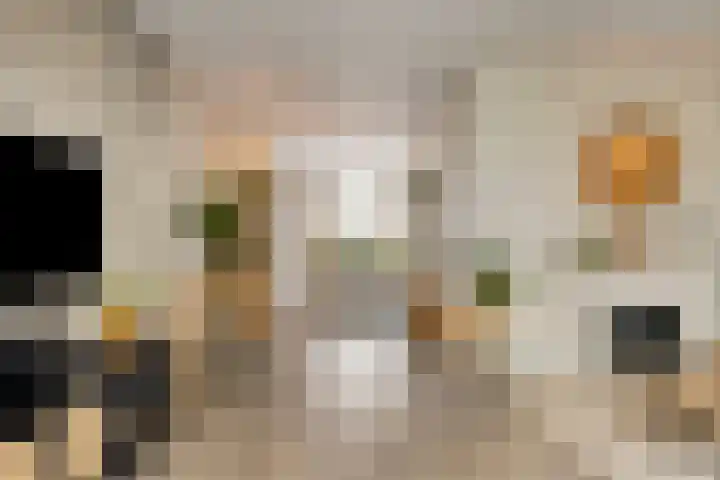 Frans Woltersstraat 31 Horst thumbnail 13