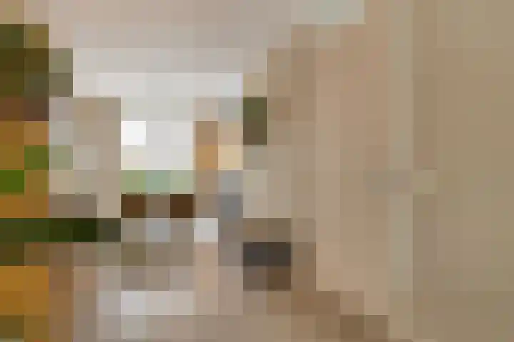 Frans Woltersstraat 31 Horst thumbnail 15